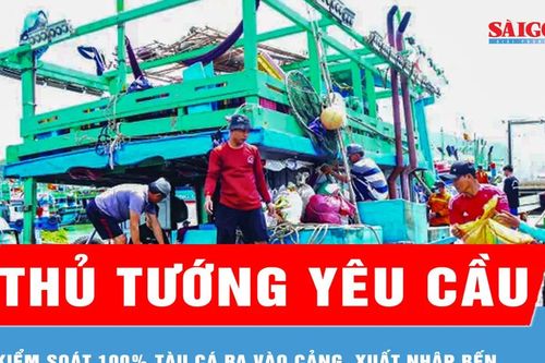 Thủ tướng yêu cầu kiểm soát 100% tàu cá ra vào cảng, xuất nhập bến