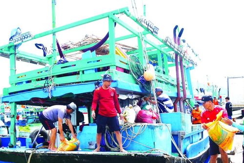Thủ tướng yêu cầu kiểm soát 100% tàu cá ra vào cảng, xuất nhập bến