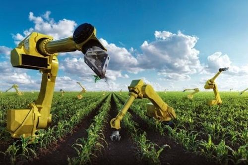 Hàn Quốc: Bùng nổ dịch vụ cho thuê robot hỗ trợ lao động nông nghiệp