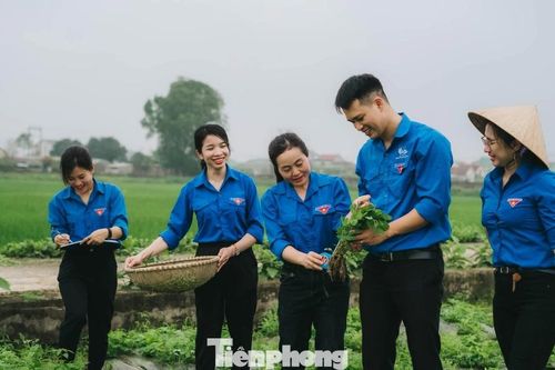 Hỗ trợ vốn vay ưu đãi phát triển mô hình kinh tế, sản phẩm OCOP ở 248 xã biên giới