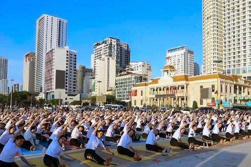 Khánh Hòa đình chỉ hoạt động Liên đoàn Yoga của tỉnh