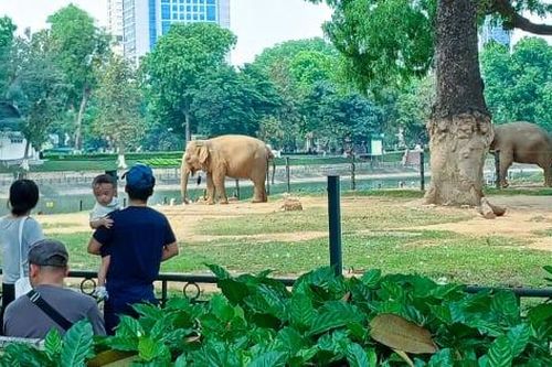 Nghỉ lễ Giỗ Tổ: Nhiều khu vui chơi, giải trí tại Thủ đô thưa thớt khách tham quan