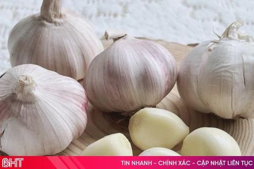 4 loại 'kháng sinh tự nhiên' quen thuộc