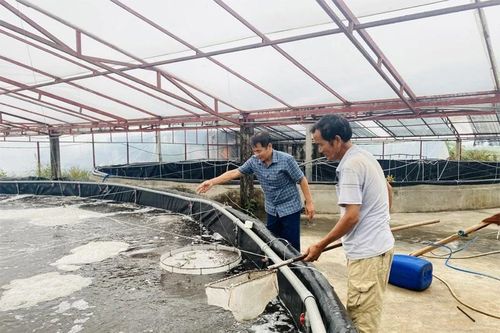 Tân Tiến nhân rộng mô hình nuôi trồng thủy sản ứng dụng công nghệ cao