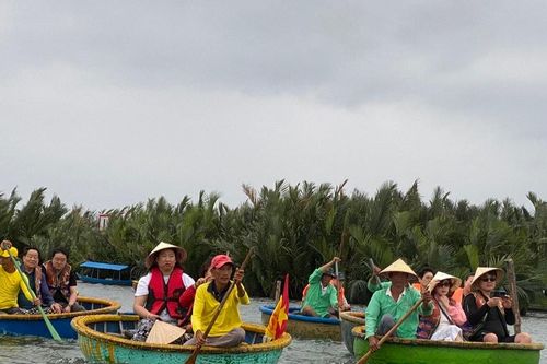 Khai mở tuyến tham quan rừng dừa Cẩm Thanh theo hướng 'tĩnh' hơn