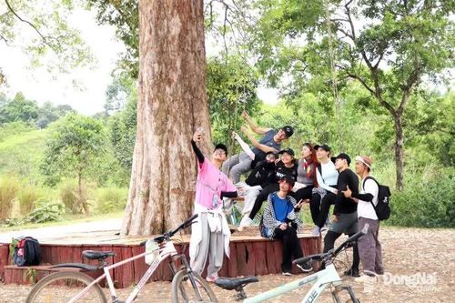 'Trốn nắng' giữa đại ngàn