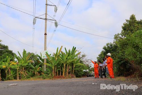 Chủ động đảm bảo an toàn hành lang lưới điện