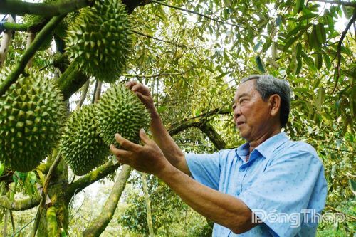 Phú Hựu 'mở cửa' đón nhà đầu tư