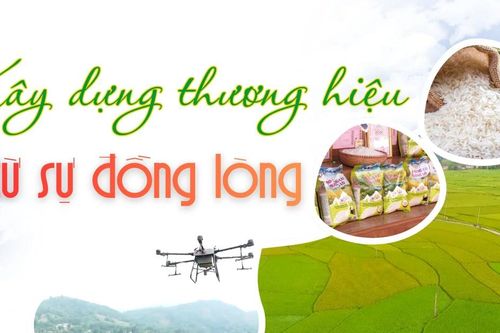 Xây dựng thương hiệu từ sự đồng lòng