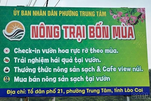 Trải nghiệm 'nông trại bốn mùa': Nông sản trở thành sản phẩm du lịch hút khách
