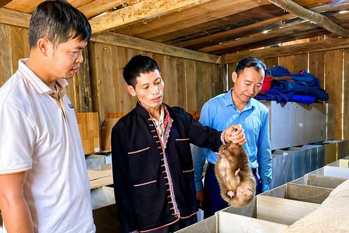 Phong Dụ Thượng khai mở tiềm năng từ nghị quyết