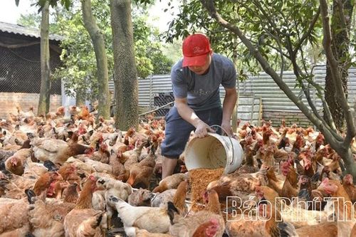 Kỳ I: Nền tảng vững, phát triển bền