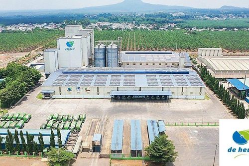 Ngành chăn nuôi Việt Nam: Doanh nghiệp nội đổi 'cách chơi' để cạnh tranh FDI