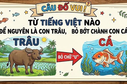 Từ tiếng Việt nào để nguyên là con trâu, bỏ bớt chữ thành con cá?