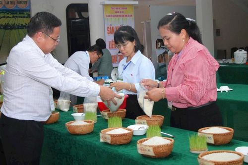 Một hợp tác xã ở Cà Mau đạt giải nhất cuộc thi Gạo ngon ĐBSCL lần đầu tổ chức
