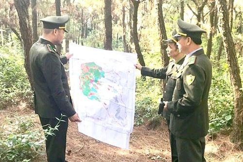 Chi cục trưởng Chi cục Kiểm lâm Hà Nội Lê Xuân Thắng: Đưa rừng vào lòng đô thị, kiến tạo một thành phố xanh