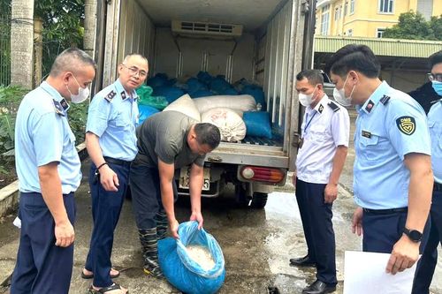 Hơn 1 tấn lòng lợn bốc mùi ôi thiu trong ô tô tải