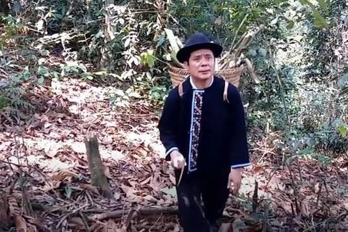 Kỳ tích nơi đại ngàn