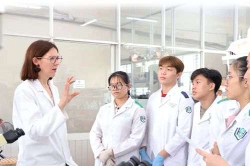 Trung tâm đổi mới sáng tạo trong đại học vận hành ra sao?