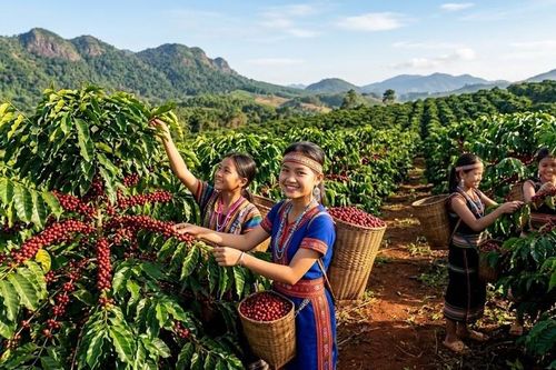 Giá cà phê hôm nay 27.4: Giữ mức 88.000 đ/kg sau nhịp giảm