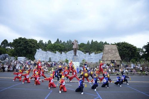 Gia Lai: Hấp dẫn màn biểu diễn võ thuật 'Hào khí Tây Sơn' kết hợp Cờ người