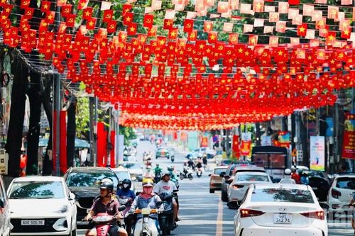 [Ảnh] Rực rỡ cờ hoa ở Đồng Nai chào mừng các ngày lễ lớn