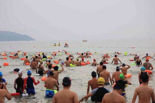 Người dân, du khách trong nước và quốc tế tranh tài Giải bơi biển 'Vượt sóng mùa hè' tại Đà Nẵng