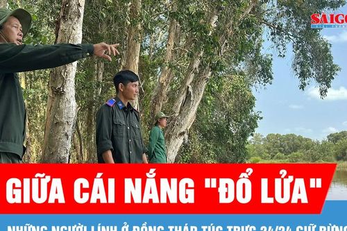 Giữa cái nắng 'đổ lửa', những người lính ở Đồng Tháp túc trực 24/24 giữ rừng