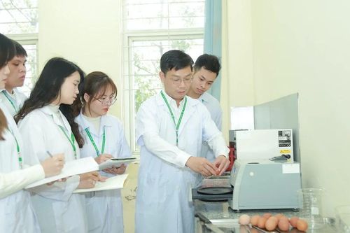 Giúp sinh viên tăng lợi thế cạnh tranh nghề nghiệp