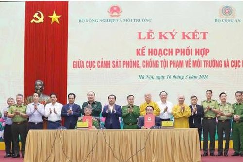 Giữ 'lưới pháp lý' trước áp lực đô thị hóa: Thước đo mới của hiệu lực thực thi pháp luật môi trường