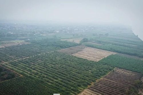 Diễn biến mới vụ 119 hộ dân kiến nghị chính quyền địa phương