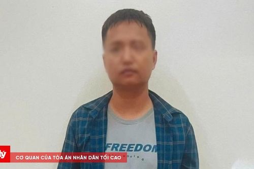 Tàng trữ súng, đạn để bắn chim, người đàn ông bị khởi tố