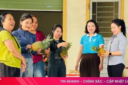 Phụ nữ nông thôn chuyển đổi sinh kế, nâng cao thu nhập