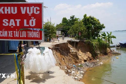 Đồng Tháp: Sạt lở nghiêm trọng bờ sông Tiền, cắt đứt đường giao thông