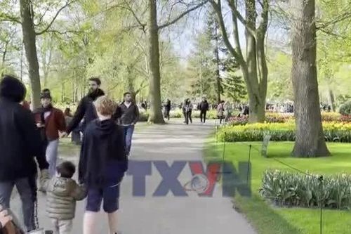 Ghé thăm Keukenhof - vườn hoa được mệnh danh đẹp nhất thế giới