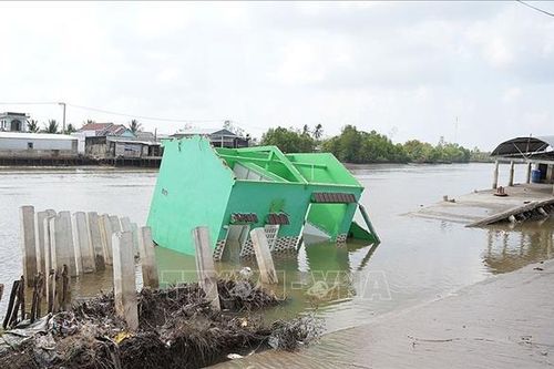 Khẩn trương khắc phục các điểm sạt lở nghiêm trọng tại xã Đầm Dơi