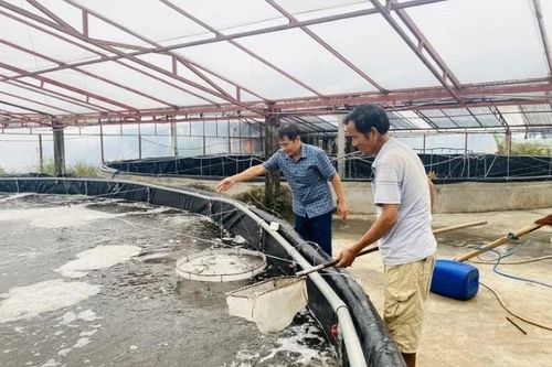 Tân Tiến bứt phá với nuôi trồng thủy sản công nghệ cao, nhiều mô hình thu lãi tiền tỷ mỗi năm