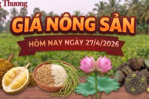 Giá nông sản hôm nay, ngày 27/4: Nhiều mặt hàng có mức giá thấp