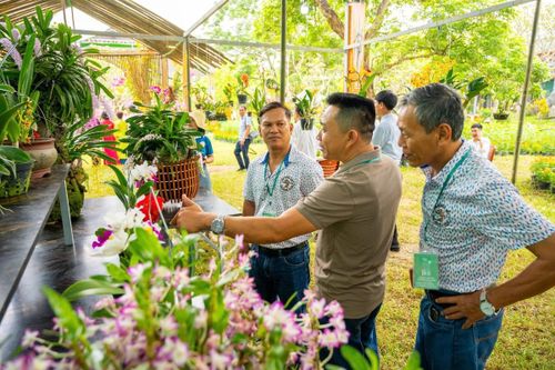 Về Huế mùa Festival, dạo 'vườn nghệ thuật' giữa Hoàng cung