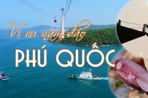 Vi vu Nam đảo Phú Quốc