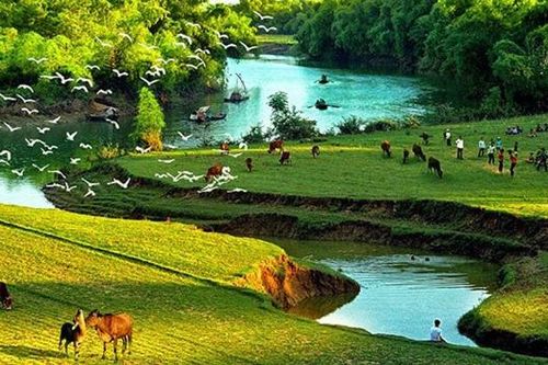 Chạm vào mùa hạ