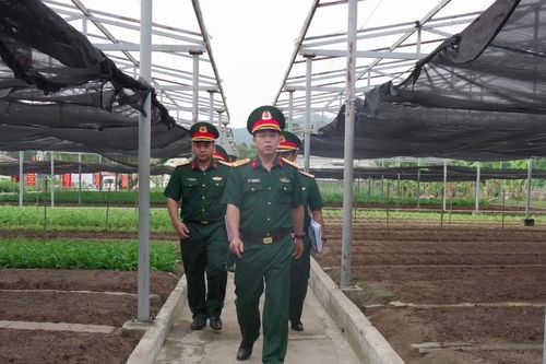 Xây dựng Trung đoàn 971 vững mạnh toàn diện
