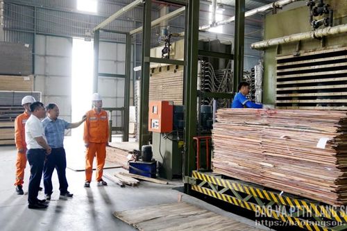Doanh nghiệp tiết kiệm điện