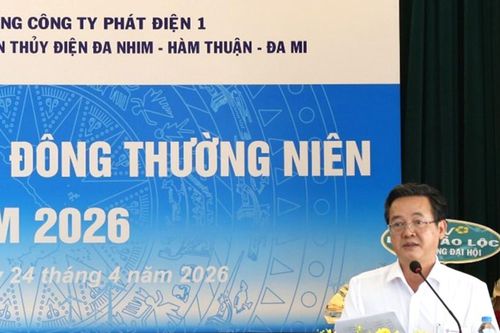Đại hội đồng cổ đông thường niên năm 2026 Công ty cổ phần Thủy điện Đa Nhim - Hàm Thuận - Đa Mi
