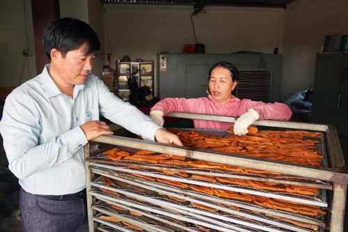 'Quả ngọt' trên cát trắng