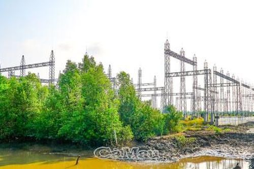 Đóng điện giai đoạn 1 tuyến 110 kV Năm Căn, tăng cường ổn định điện cho khu vực phía Nam Cà Mau