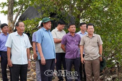 Khẩn trương triển khai giải pháp ứng phó sạt lở