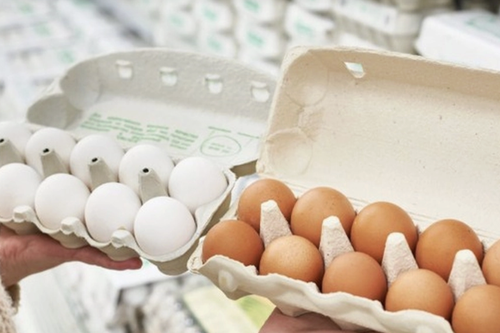 Người dân chịu sức ép khi giá trứng gà giảm sâu