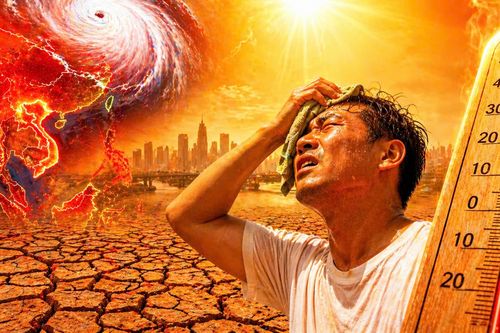 Siêu El Ninõ 2026: Châu Á nguy cơ hạn hán, cháy rừng diện rộng