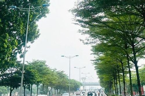 Bắc Bộ nhiều mây, chiều và đêm có mưa rào rải rác
